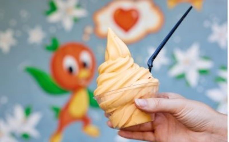 Best Magic Kingdom Snacks