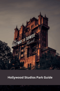 Hollywood Studios Park Guide