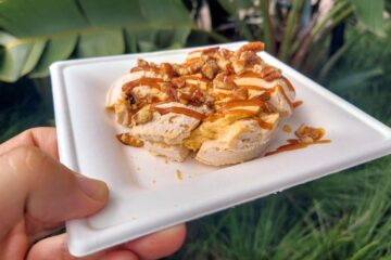 Liquid Nitrogen Frozen Pumpkin Cheesecake Mousse