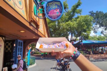 Best Magic Kingdom Snacks