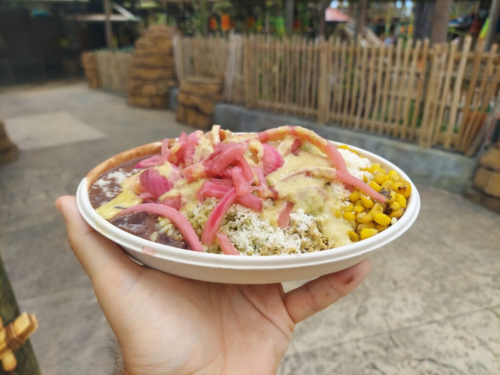 TOMA Chicken Salsa Verde