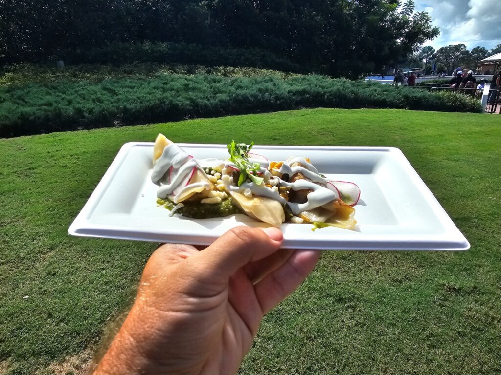 Gyozas of the Galaxy