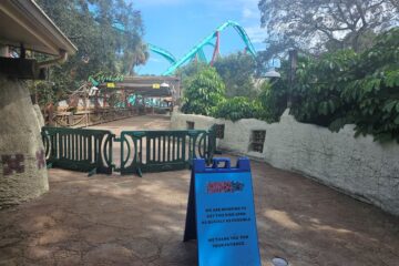 when does Kumba reopen