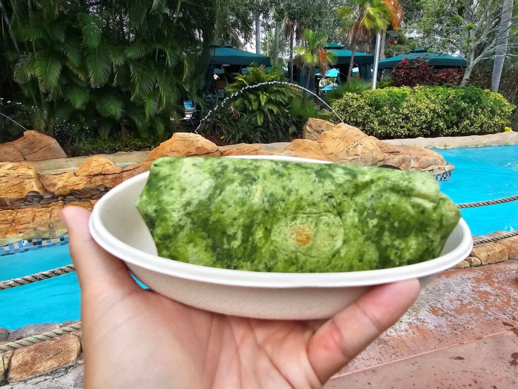 Aquatica Orlando Chicken Wrap