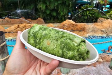 Aquatica Orlando Chicken Wrap