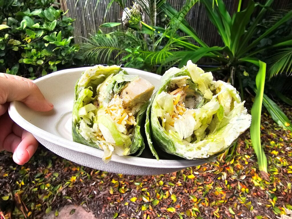 Aquatica Orlando Chicken Wrap