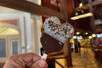 Hand-Dipped Mickey Bar