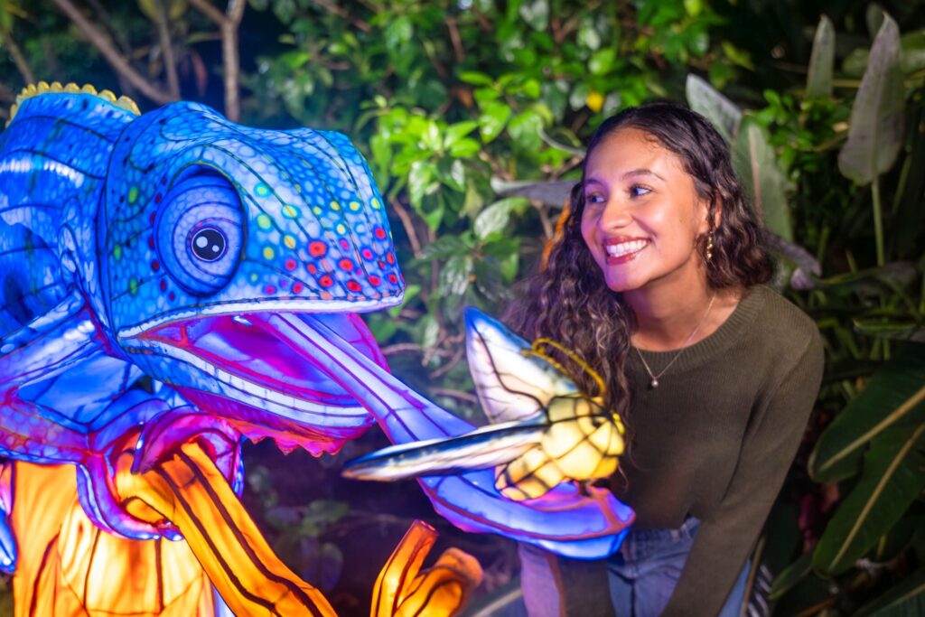 Illuminate Aquatica Orlando