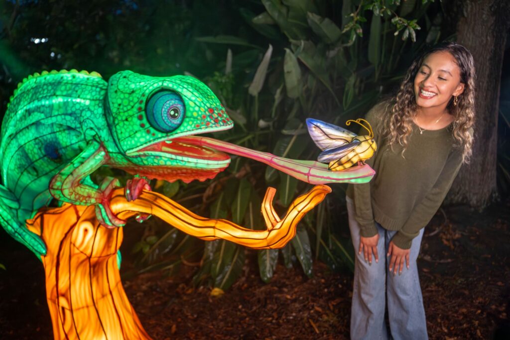 Illuminate Aquatica Orlando