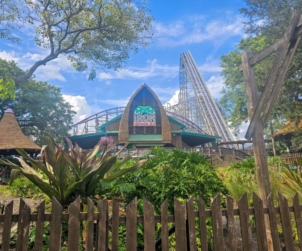 Iron Gwazi Metal Detectors