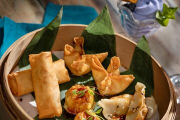 Nine Dragons Dim Sum Lunch