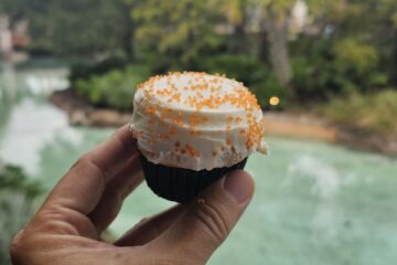 Taylor Swift Cupcake