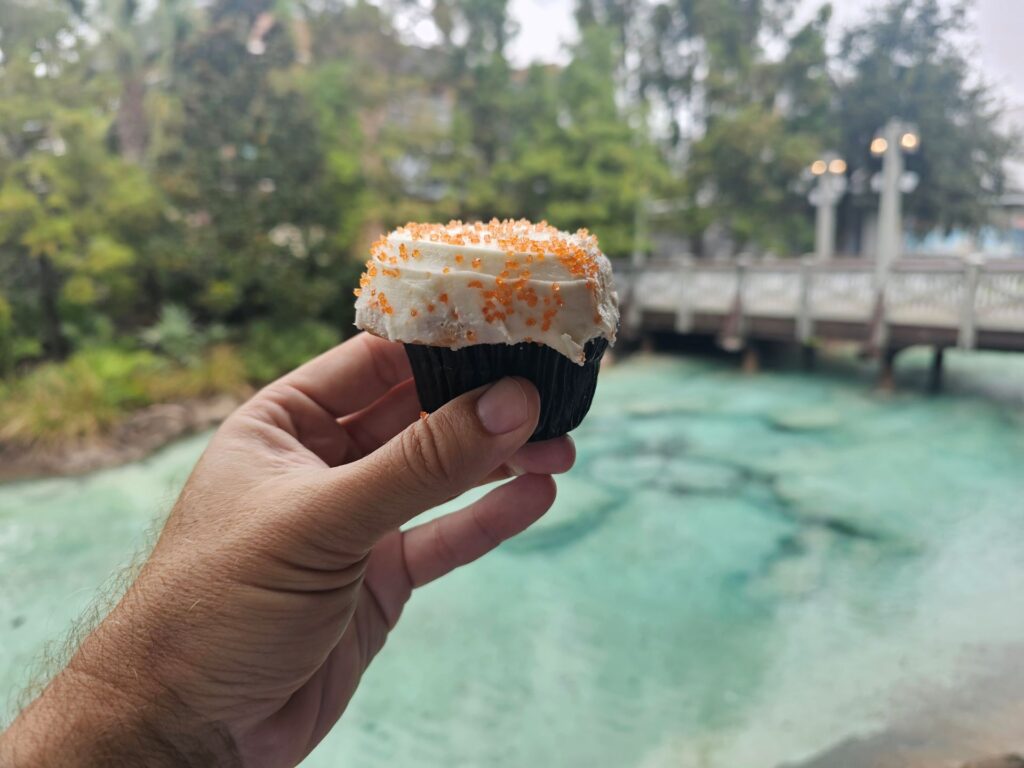 Taylor Swift Cupcake