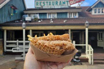 Waflfe Cone Chicken Strips