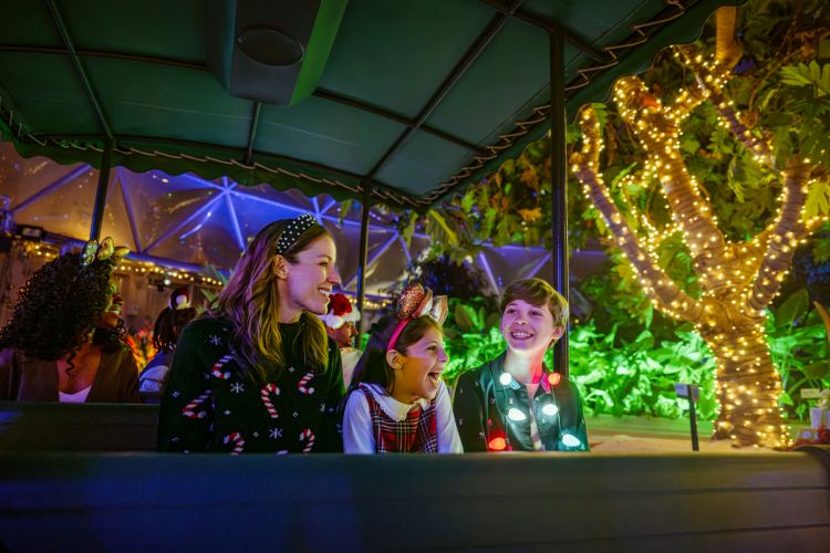Festival of the Holidays