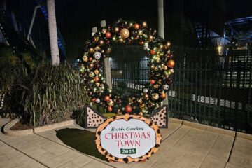 Busch Gardens Christmas Town