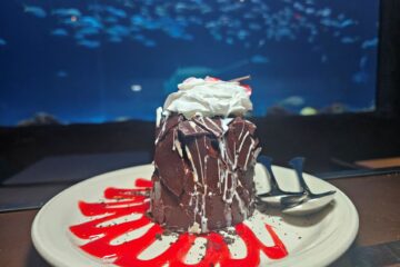Sharks Underwater Grill