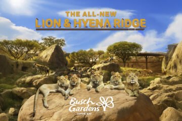 Lion & Hyena Ridge