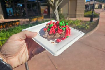 Liquid Nitrogen Chocolate-Peppermint Mousse