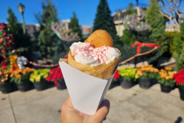 Snickerdoodle Crepe