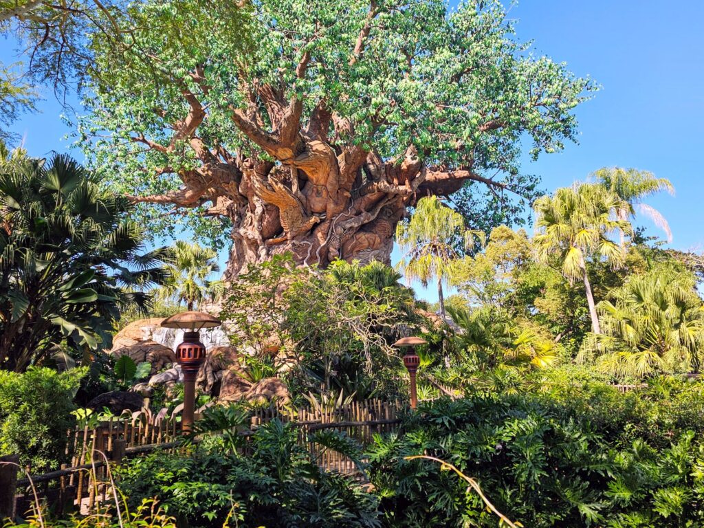 Tree of Life