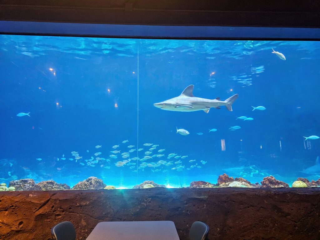 Sharks Underwater Grill