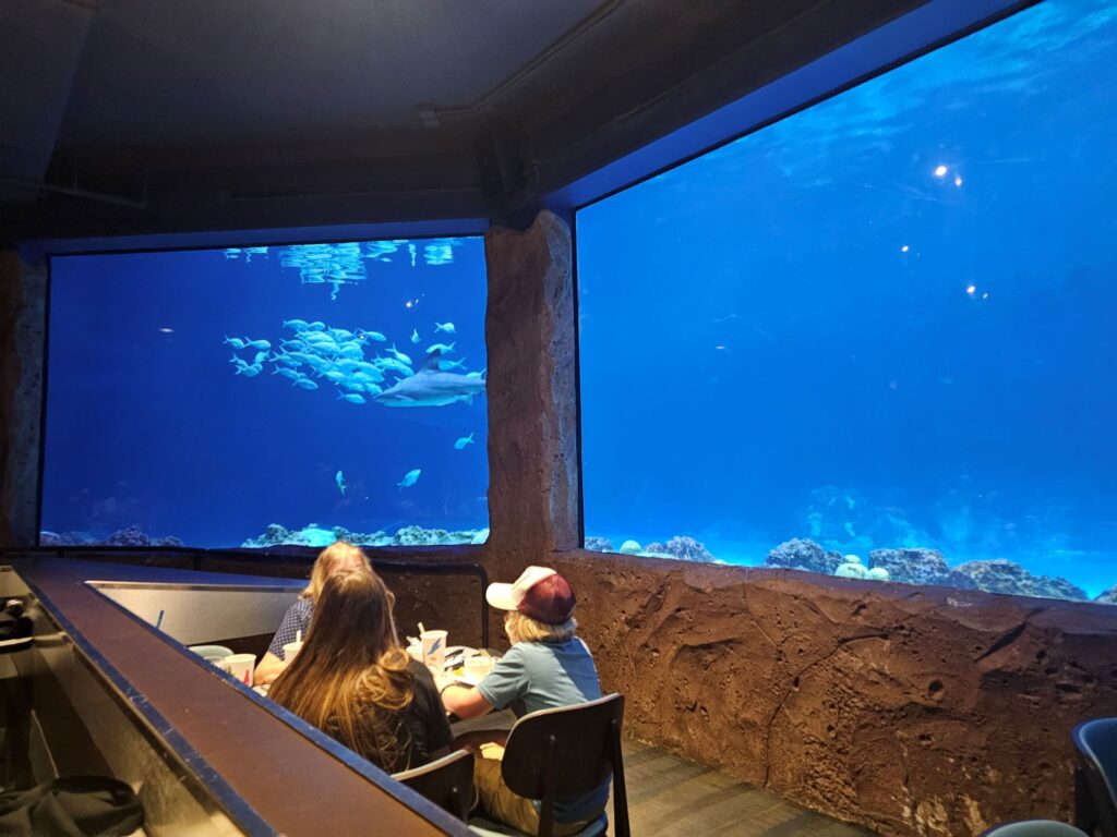 SeaWorld Orlando