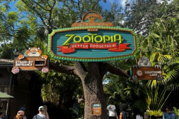 Zootopia Animal Kingdom Show