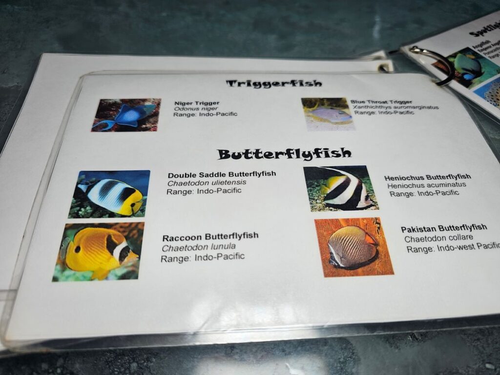 Shark Bar Aquarium