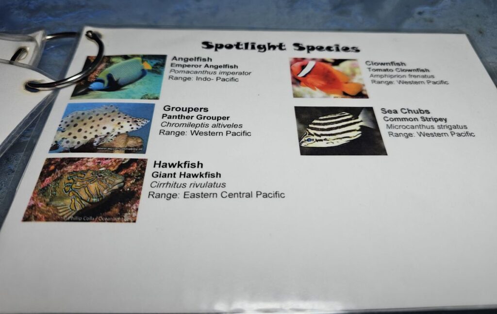 Shark Bar Aquarium