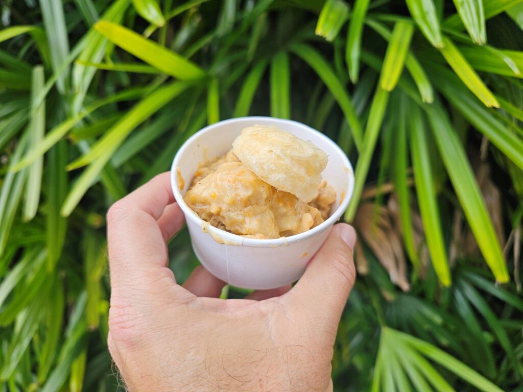 Smoked Chicken & Dumplings
