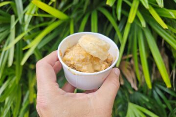 Smoked Chicken & Dumplings
