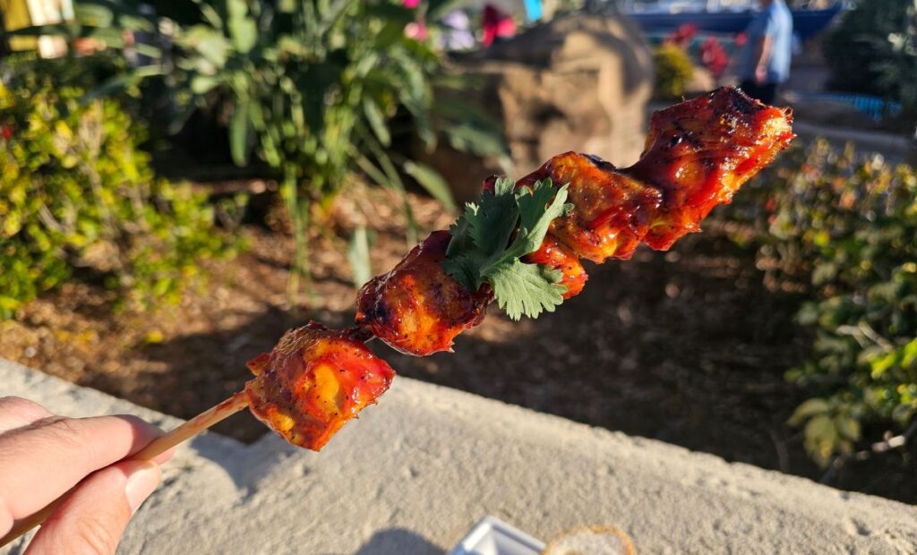 Chicken Pinchos SeaWorld