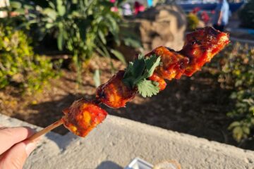 Chicken Pinchos SeaWorld
