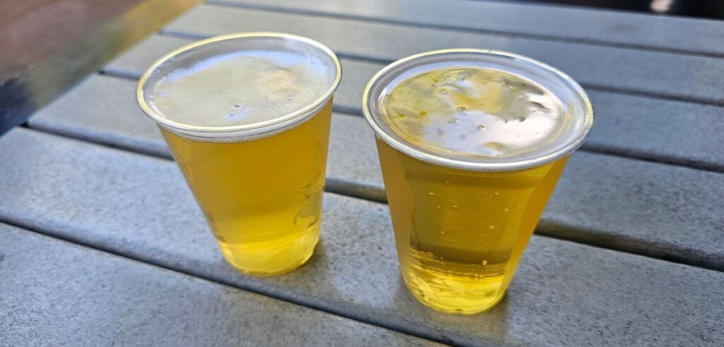 SeaWorld Orlando FRee Beer