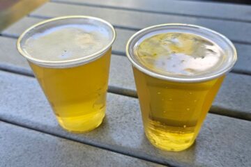 SeaWorld Orlando FRee Beer