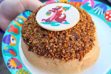 Hazelnut Praline Boller