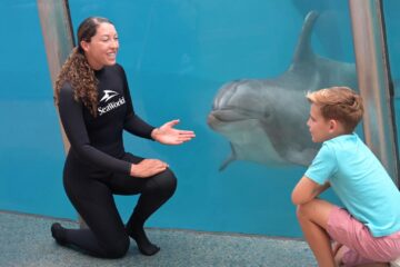 SeaWorld Orlando Inside Look
