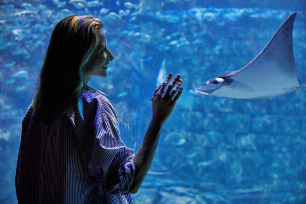 SeaWorld Orlando Inside Look