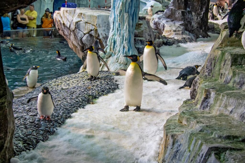 SeaWorld Orlando Inside Look