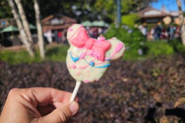 Liquid Nitrogen Minnie Cake Pop