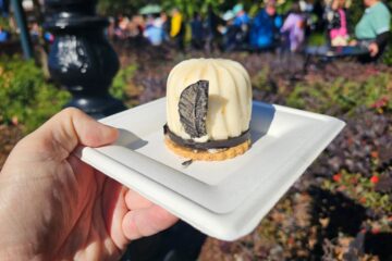 Sparkling Spectacle Gâteau