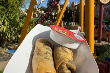 Toy Story Spring Rolls