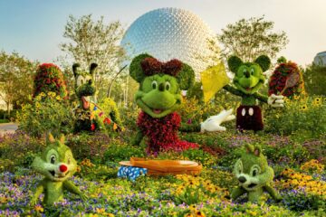 Epcot Flower & Garden