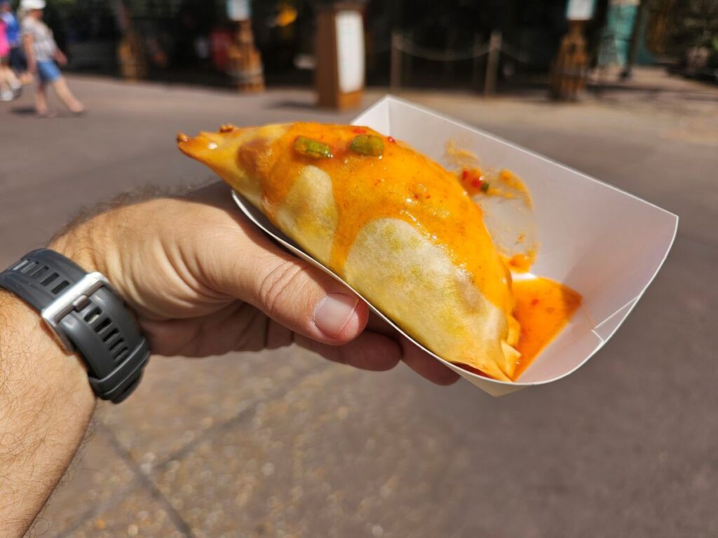 Epcot Nigerian Beef Pie 