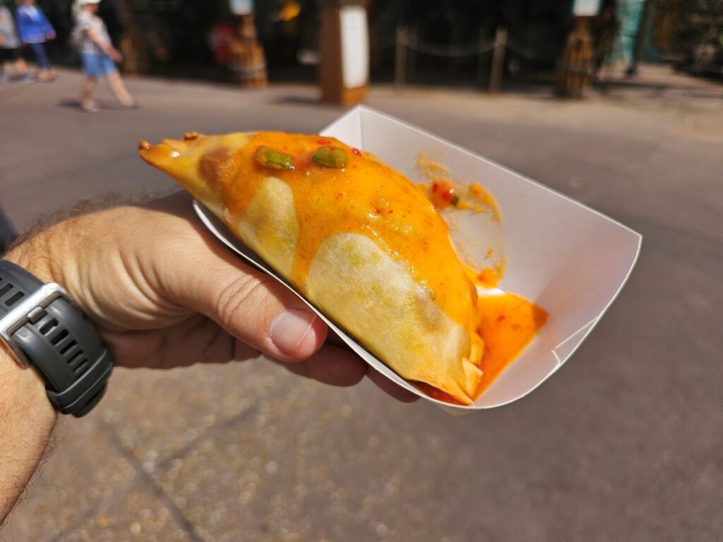 Epcot Nigerian Beef Pie 