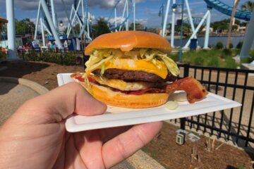 Breakfast Burger Review photo showing a burger being held up with a roller coaster in the background