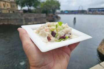 Coconut Rice & Beans