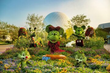 Disney Springs Hotel Deals