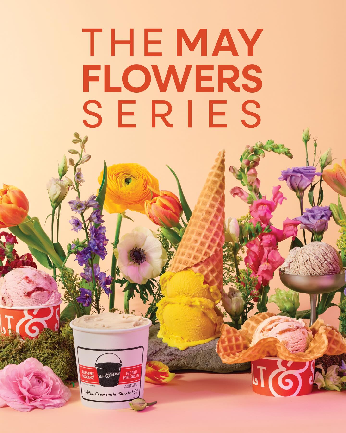 May Flowers Series 2026 Promotional photo